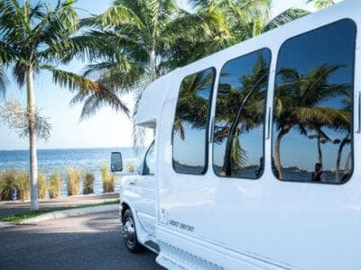 18-Passenger Stretch Limo