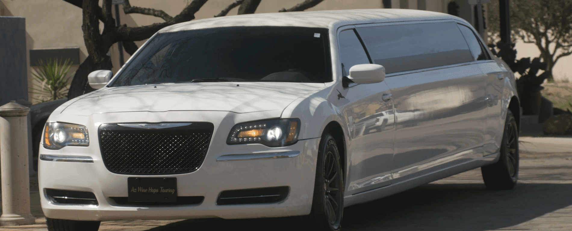 10-Passenger Stretch Limousine