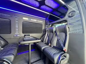 13+passenger+Shuttle+Sprinter+3