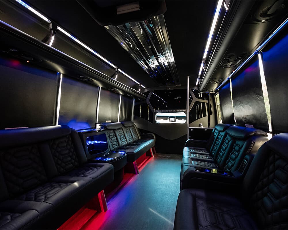 Black 12-Passenger Sprinter Limo
