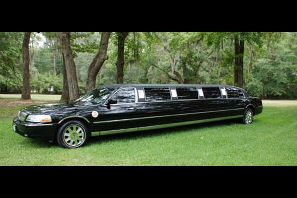 20-Passenger Party Bus