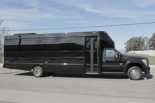 Limo Party 20