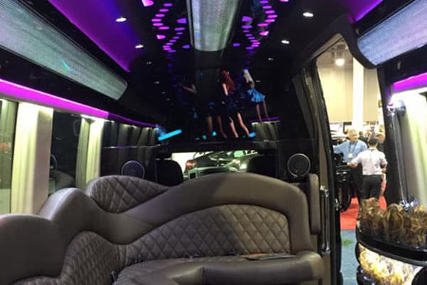 14 Std. Size Passengers Mercedes Party Bus