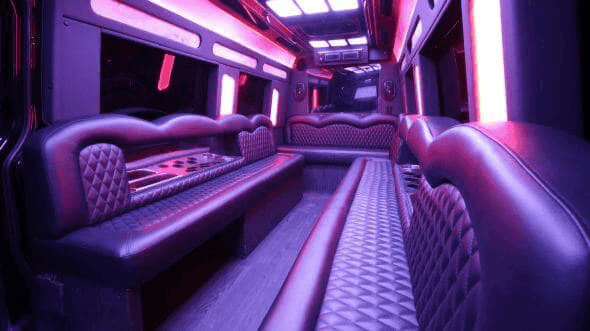 14-Passenger Party Bus