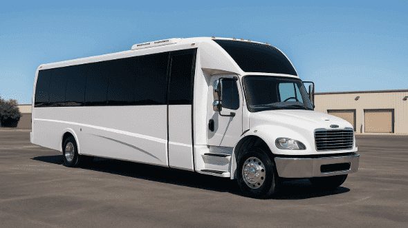 18-Passenger Stretch Limo