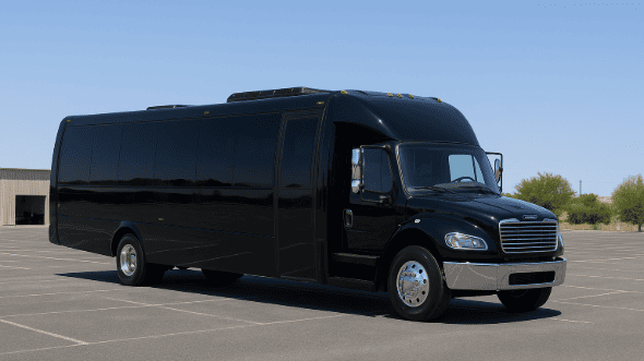 10-Passenger Stretch Limousine