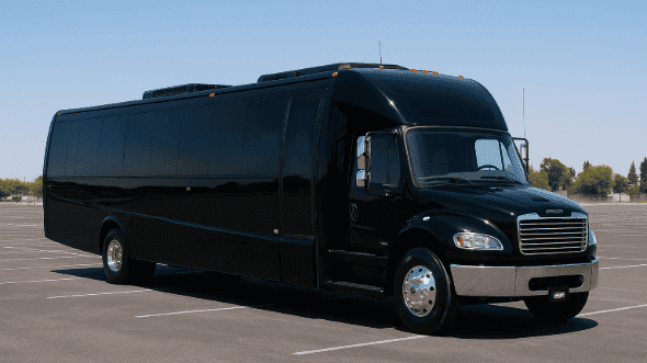 10-Passenger Stretch Limousine