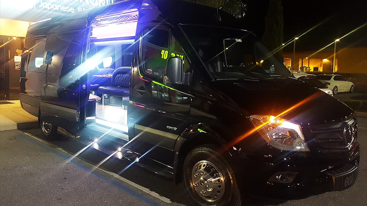 Executive Mini Bus