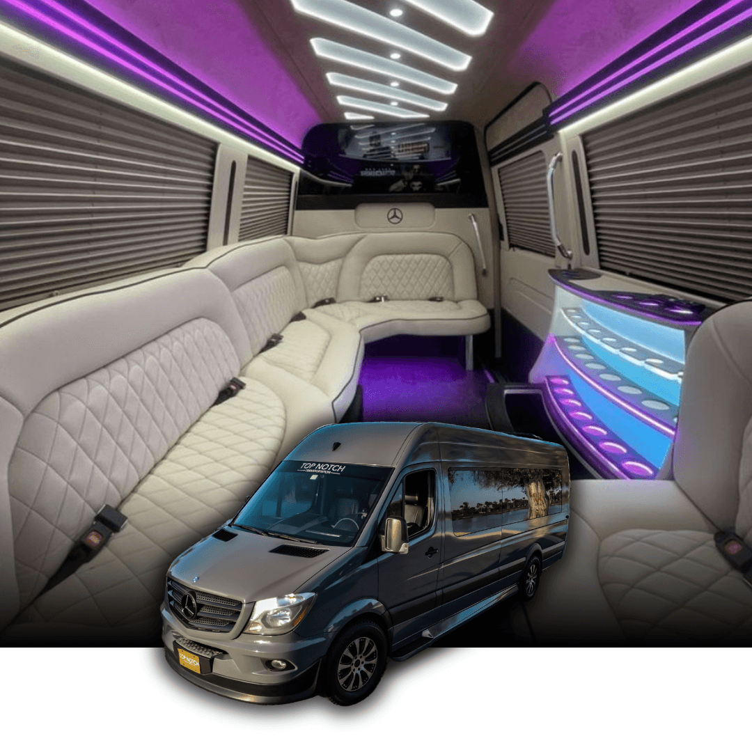 13-14 Passenger Sprinter Van