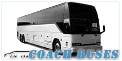 10-Passenger Stretch Limousine