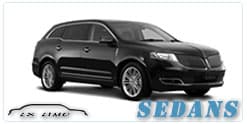 6-Passenger Luxury SUV