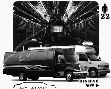 10-Passenger Stretch Limousine