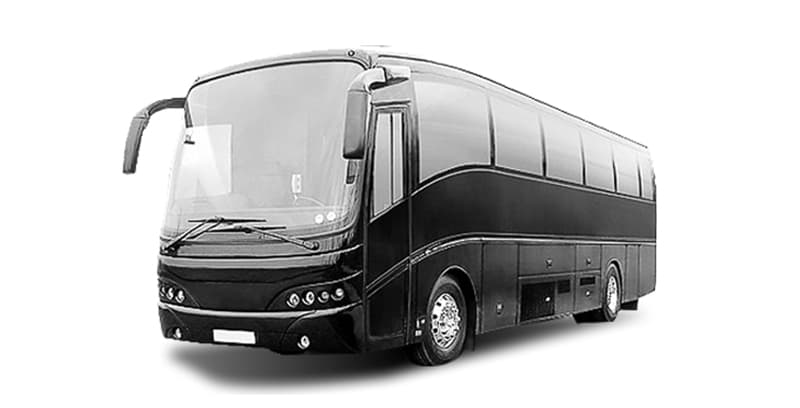 6-Passenger Luxury SUV