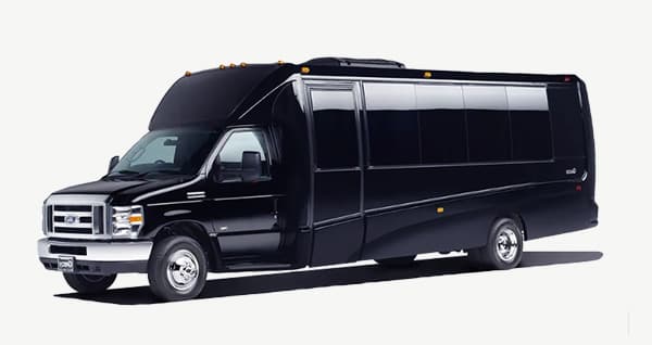 10-Passenger Stretch Limousine