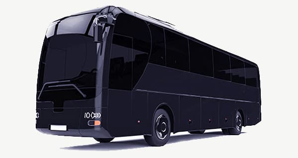10-Passenger Stretch Limousine