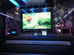 Party Bus Tampa White Bus 04