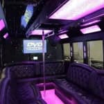 25-Passenger Party Bus