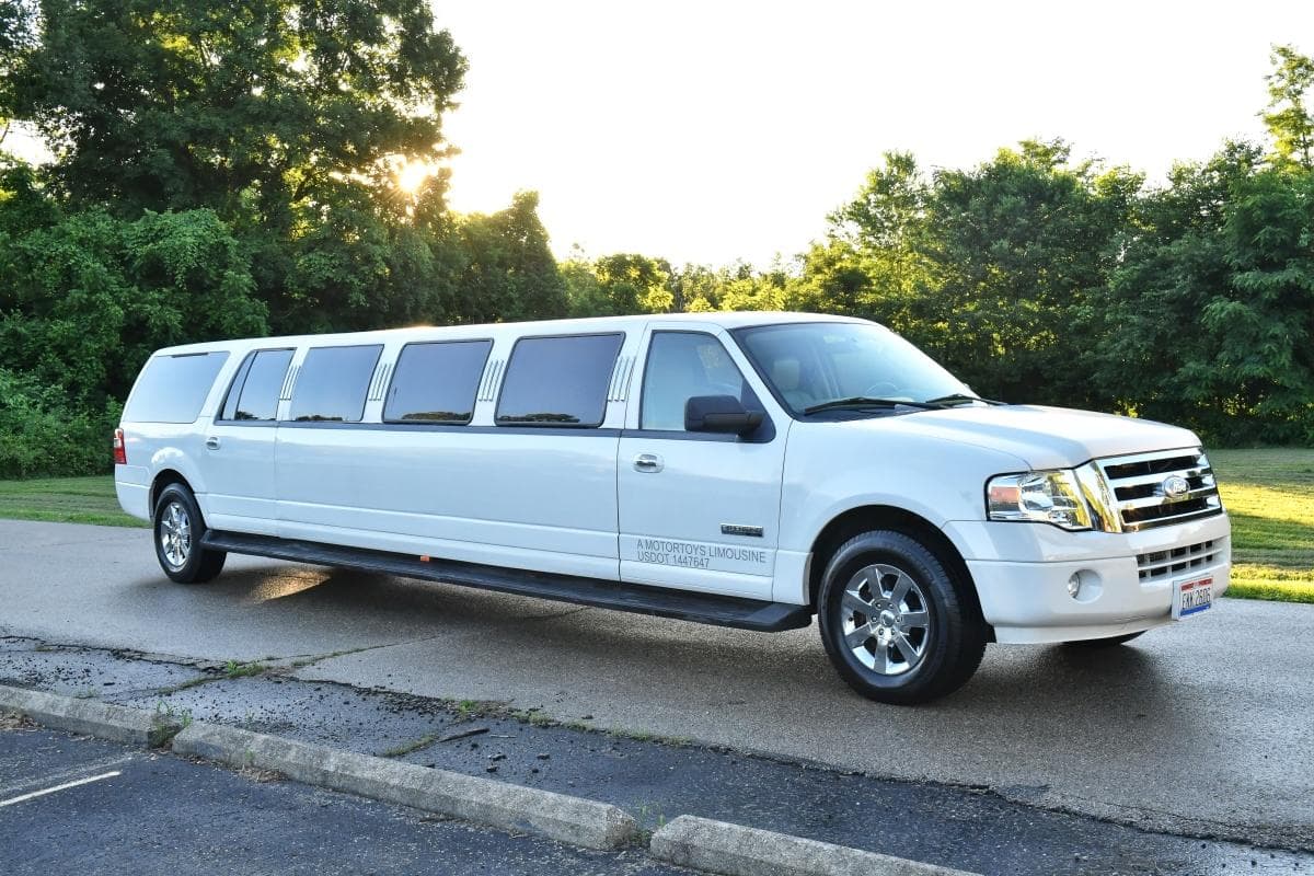 Blue 25-Passenger Party Bus