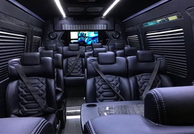 14-Passenger Sprinter Van
