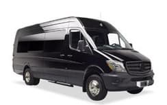 14-Passenger Sprinter Van
