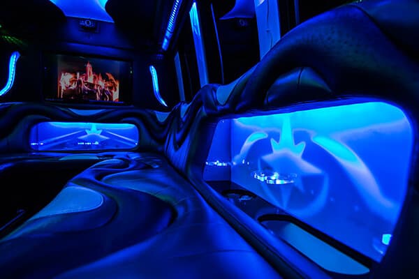 14-passenger party buses