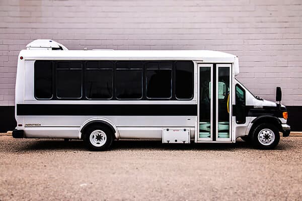 30-Passenger Party Bus