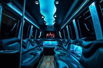 30-Passenger Party Bus