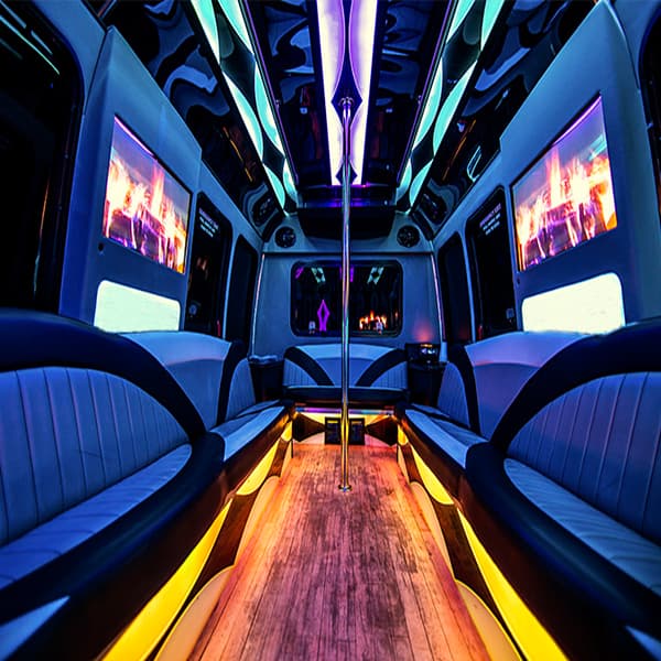 30-Passenger Party Bus