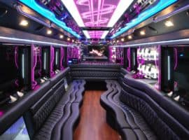 Tampa Limousine Vip