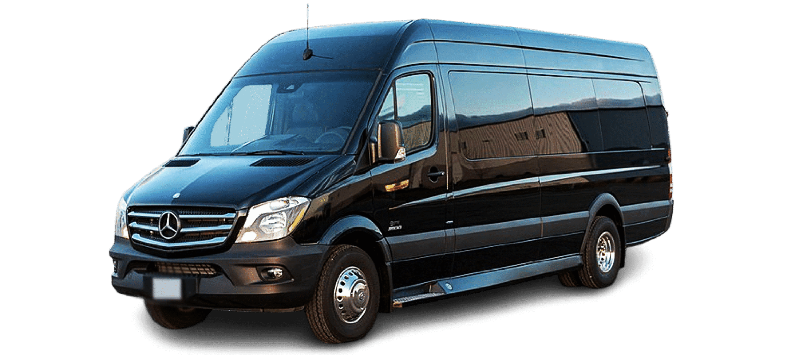 12-Passenger Sprinter Van
