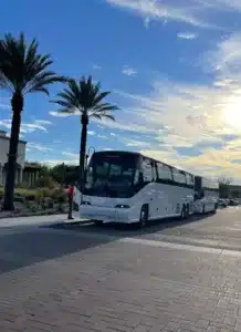 Divine Charter Bus Rental 745X1024 1 218X300