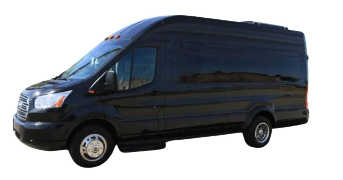 10-Passenger Stretch Limousine