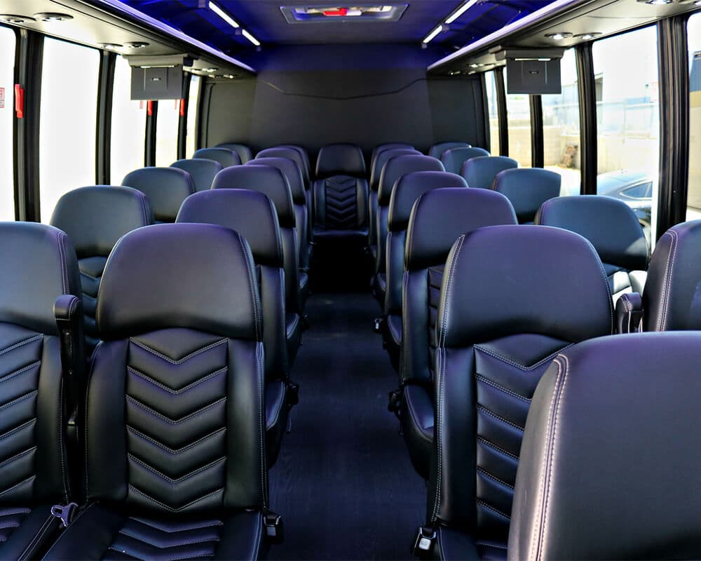 Blue 12-Passenger Sprinter Limo