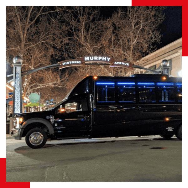 14-Passenger Party Bus