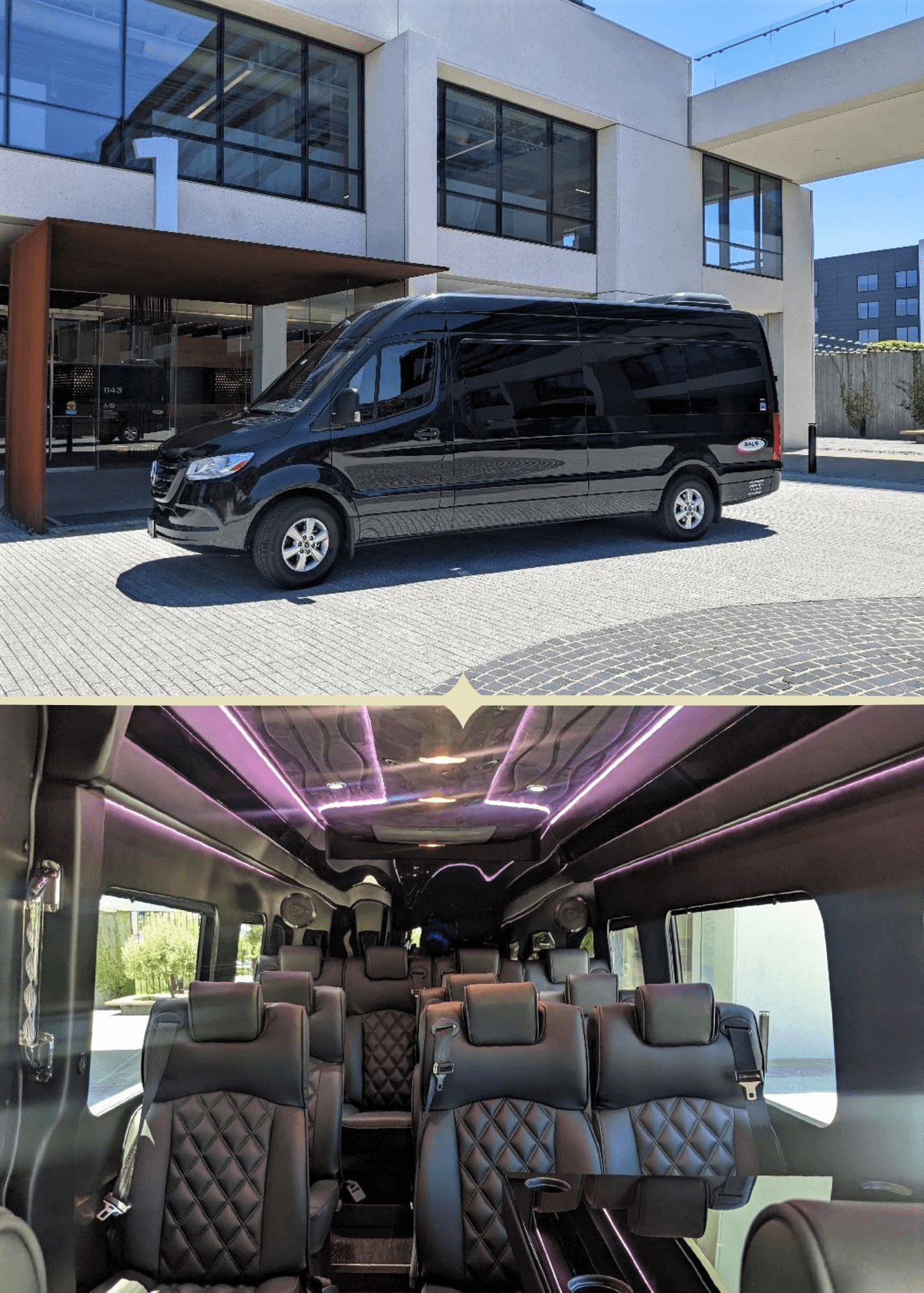 14-Passenger Sprinter Van