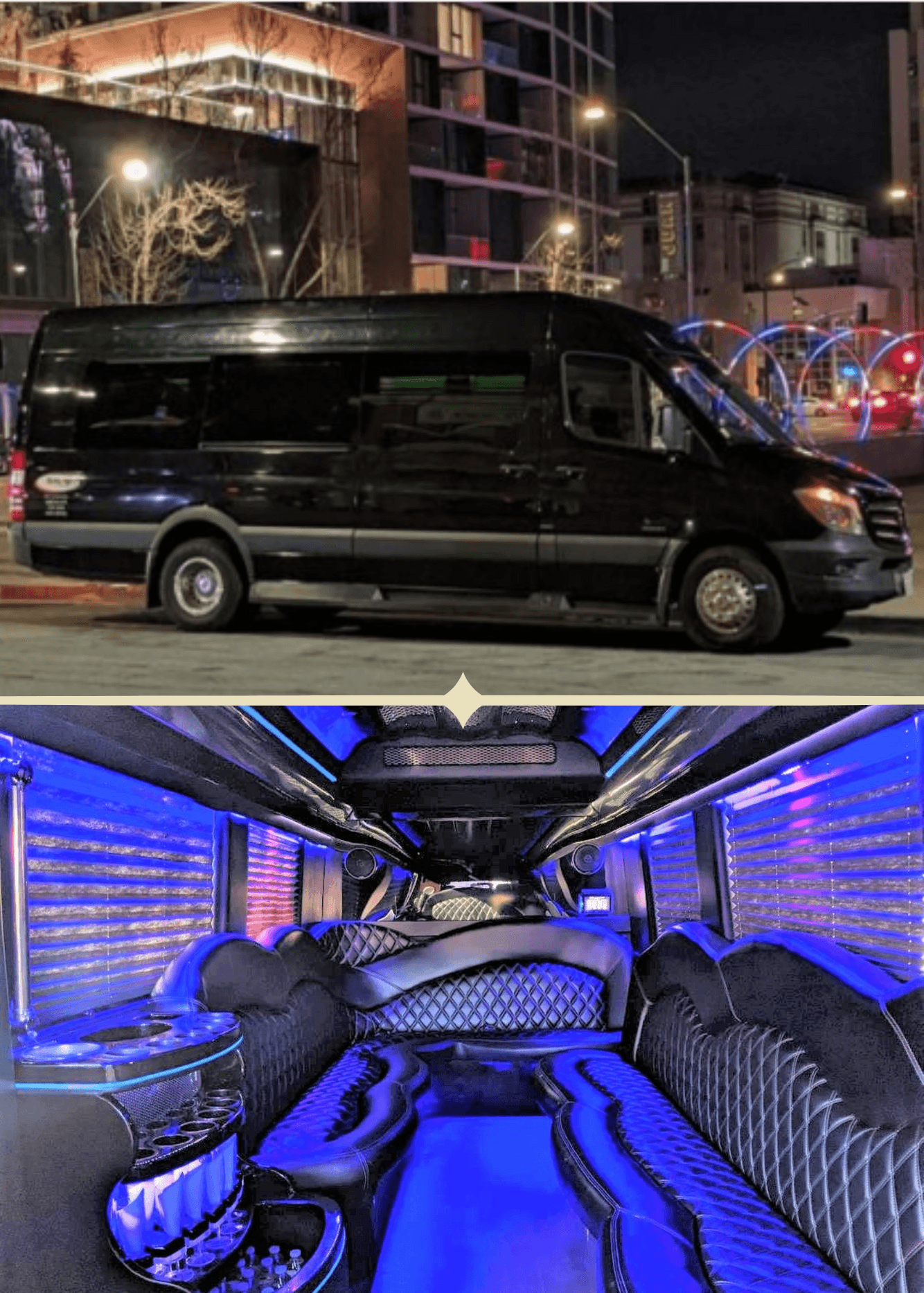 Black 12-14 Passenger Party Bus