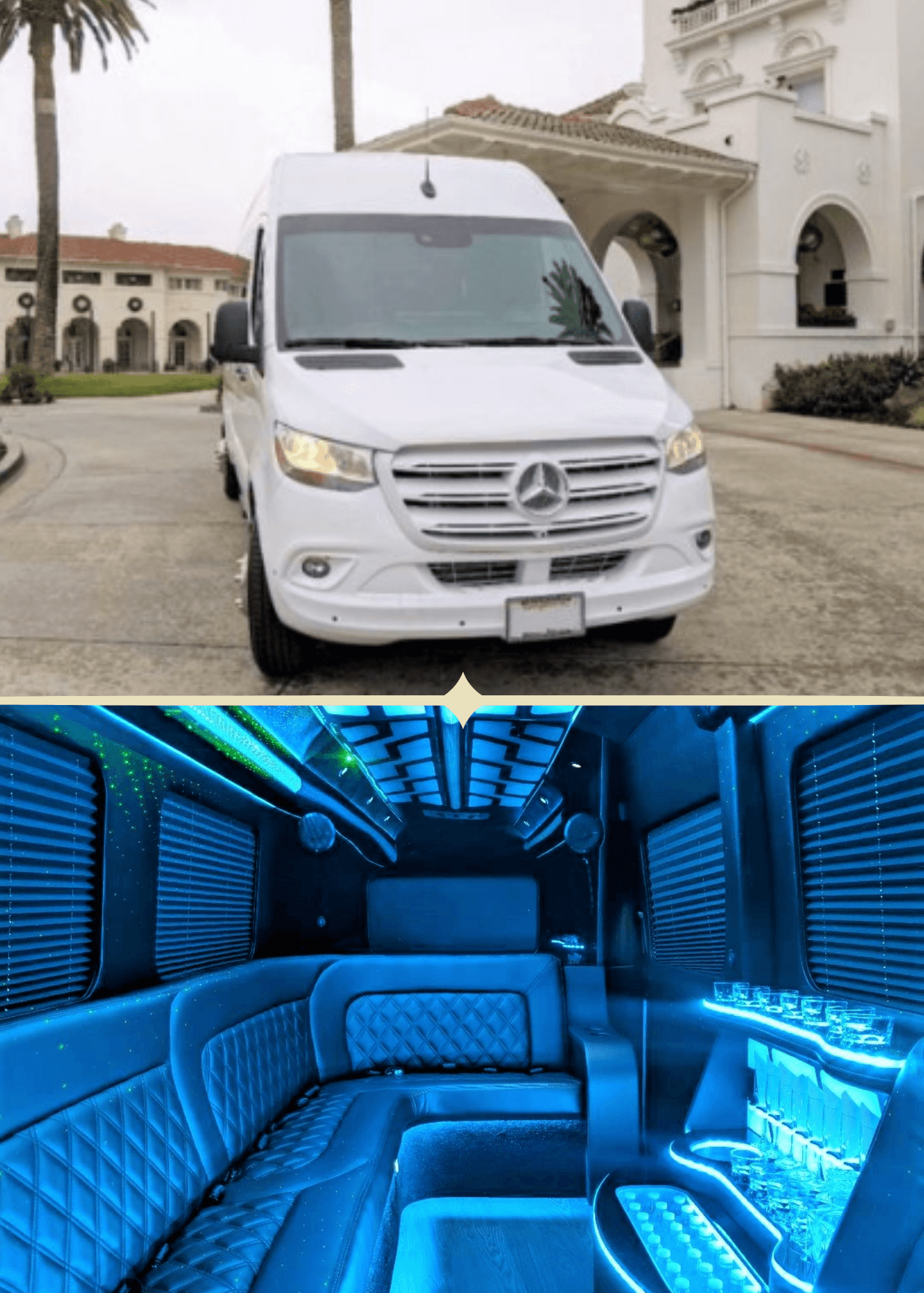 White 14-Passenger Party Bus