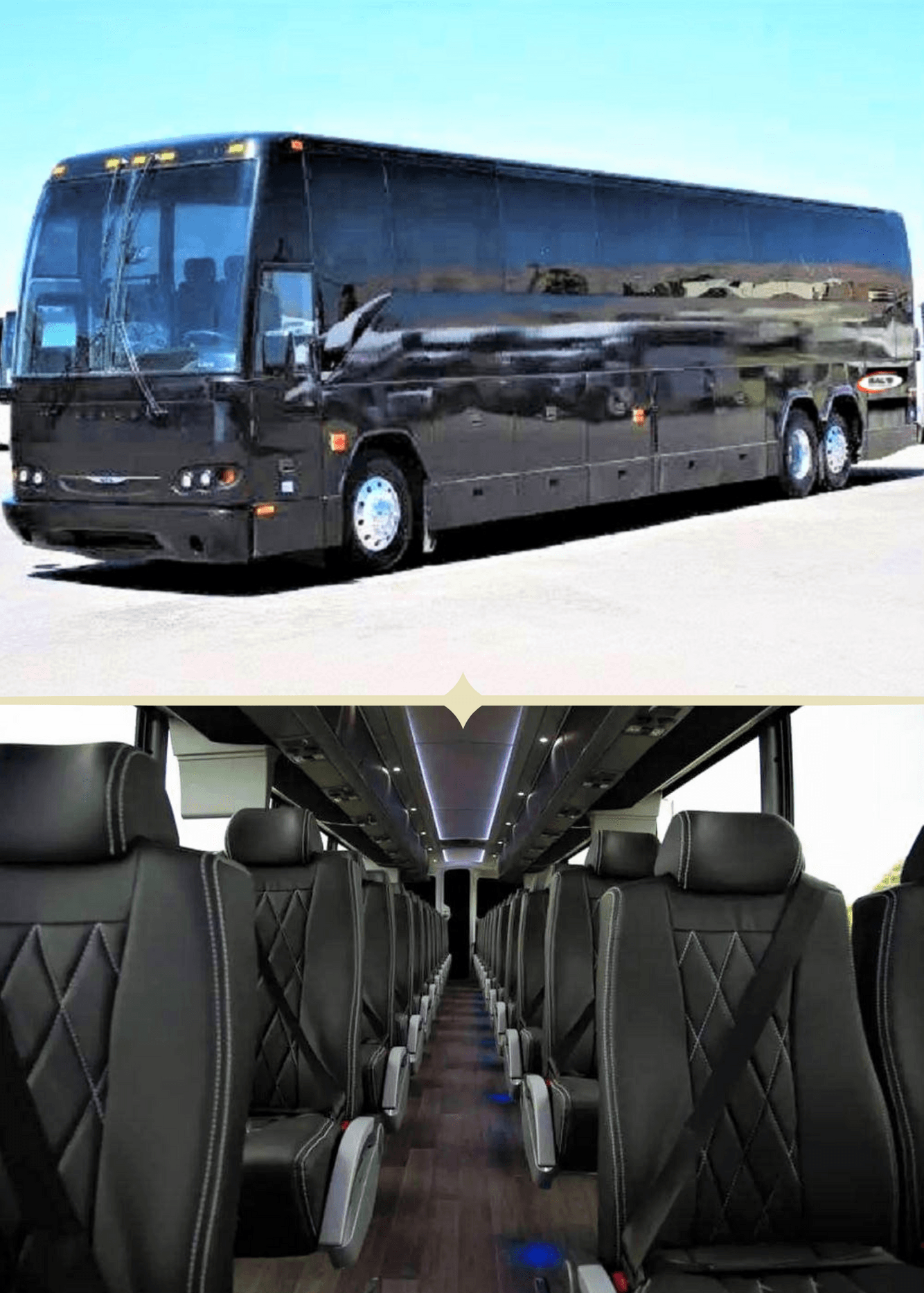 56-Passenger Coach Bus