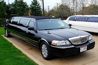 Stretch Limousine 12