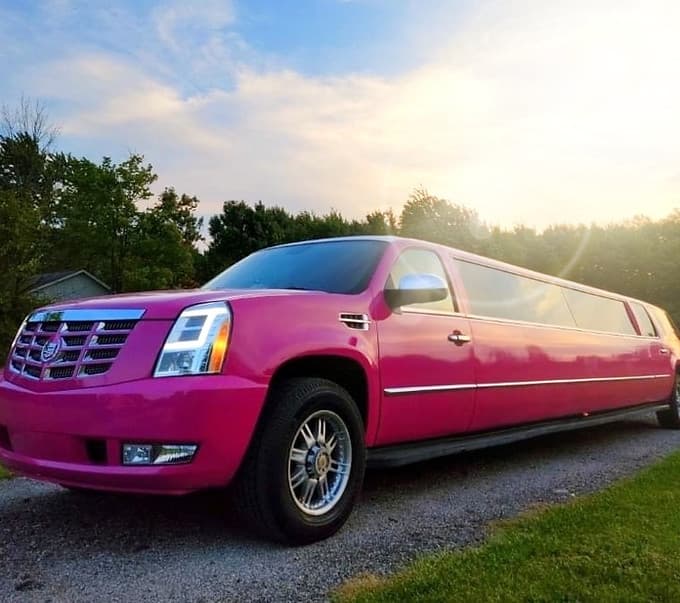 Pink Party Bus