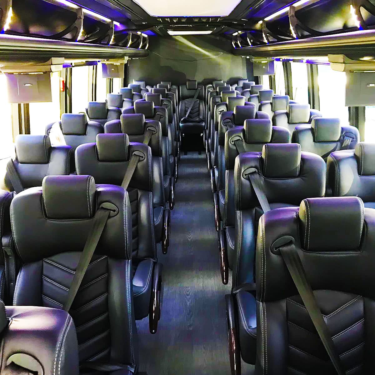 Luxury Limousine Disney World