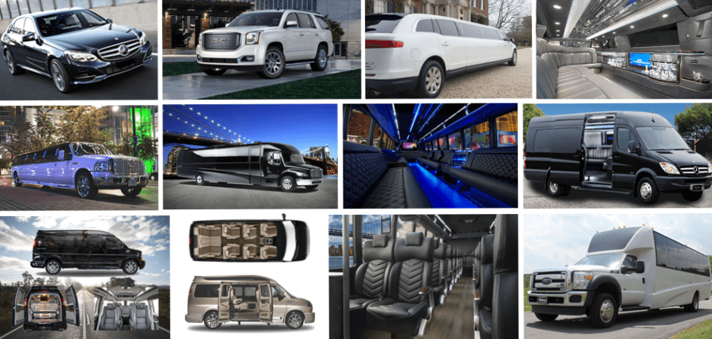 34 Passemger Black Limo Party Bus Exterior