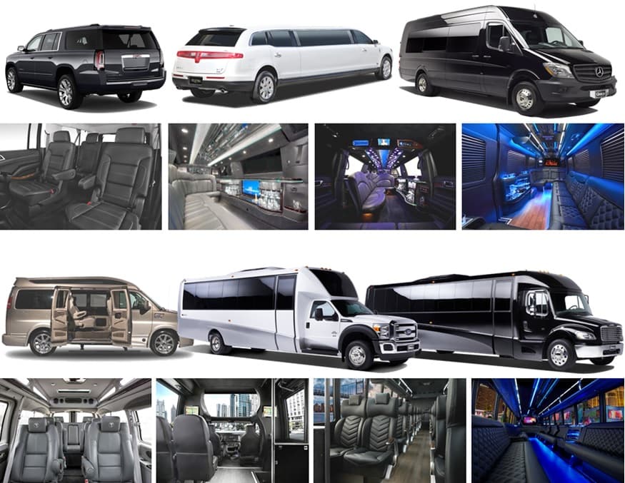24-Passenger Shuttle Bus