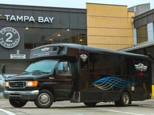 18-Passenger Party Bus