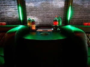 27-32 Passenger Party Bus