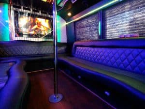 30-Passenger Party Bus
