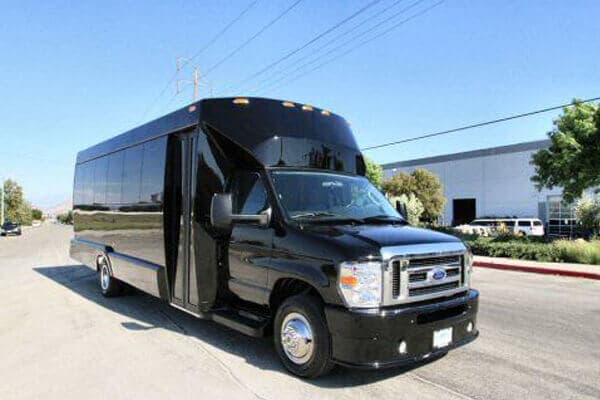 15-Passenger Party Bus