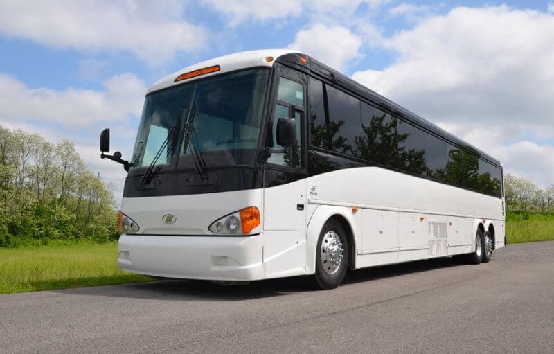 10-Passenger Stretch Limousine