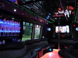 18-Passenger Party Bus