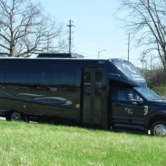 10-Passenger Stretch Limousine